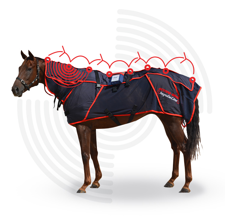 Question: DOES AN ACTIVOMED RUG REPLACE YOUR VET, PHYSIO OR EQUINE OSTEOPATH?
