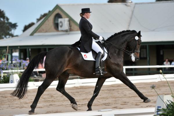 Getting the most out of professional equine therapy