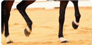 Blog_joint pain