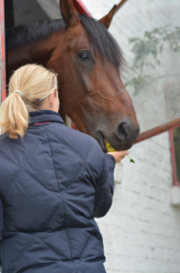 Haley and horse_back