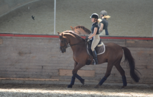 Training with Haley_01