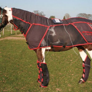 Activo-Med PEMF rug in action