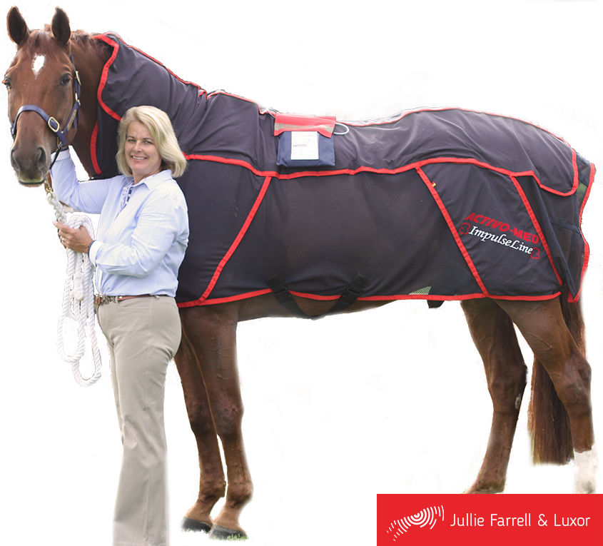 horse with activo med rug on