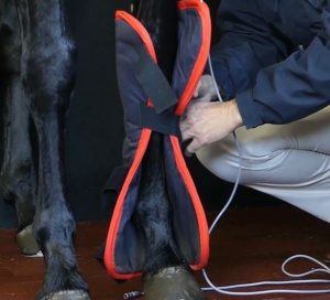 Activo-Med leg wraps
