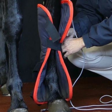 Activo-Med leg wraps