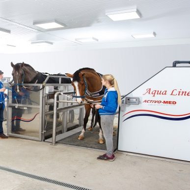 horse in equine spa