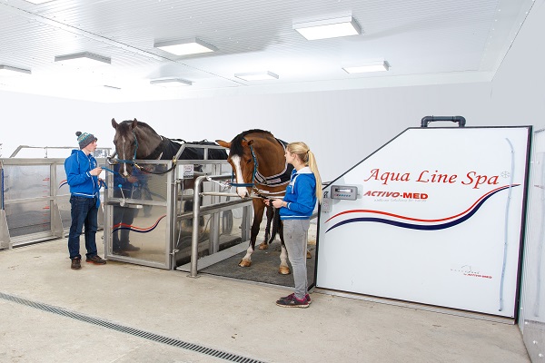 Horse-in-spa-and-horse-on-combi-floor-FMBS-Photo-Shoot-103 horse in equine spa