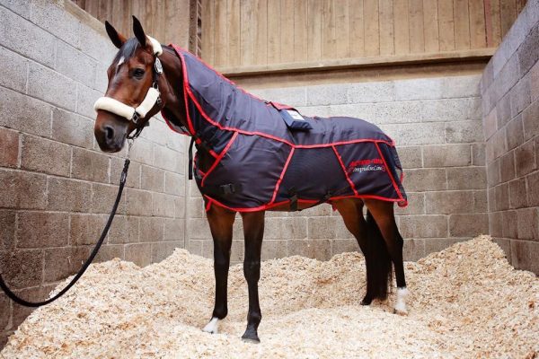 Activo-Med horse massage rug on a cold backed horse