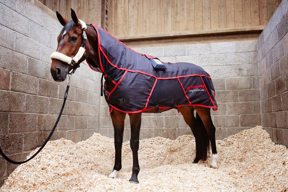 Activo-med horse massage rug