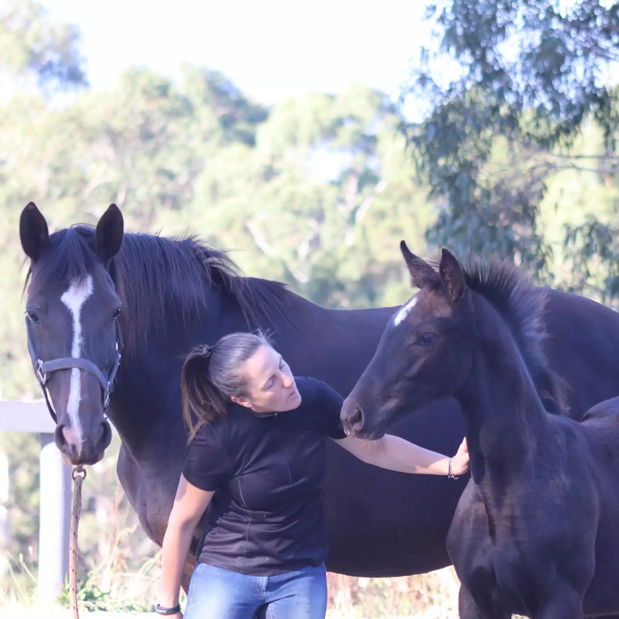 Why Meg Klaaysen won’t go a day without her Activo-Med system