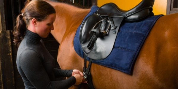 Gastric ulcers in horses symptoms