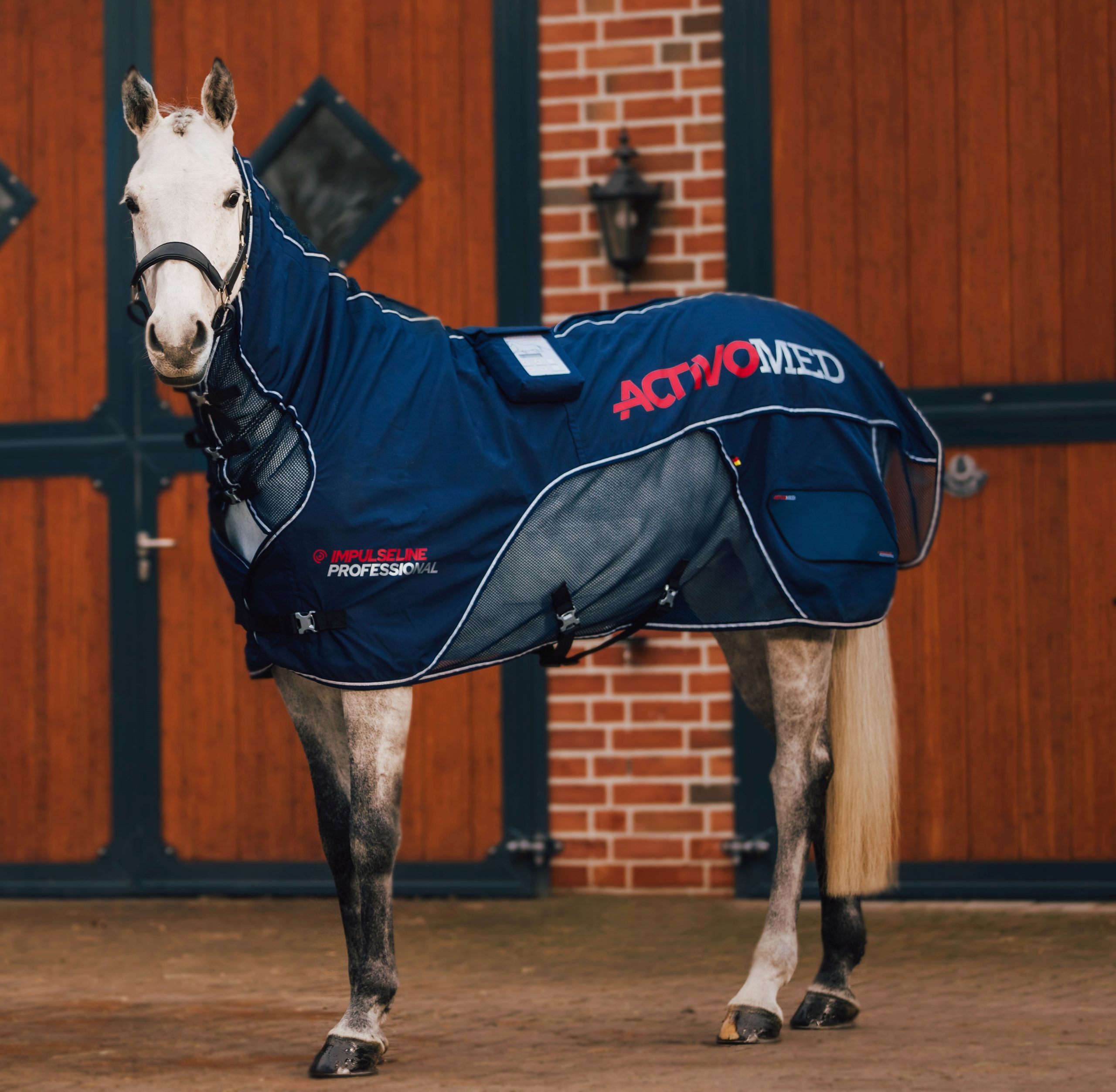 Activo-Med New Rug 1 Activo-Med Combi New