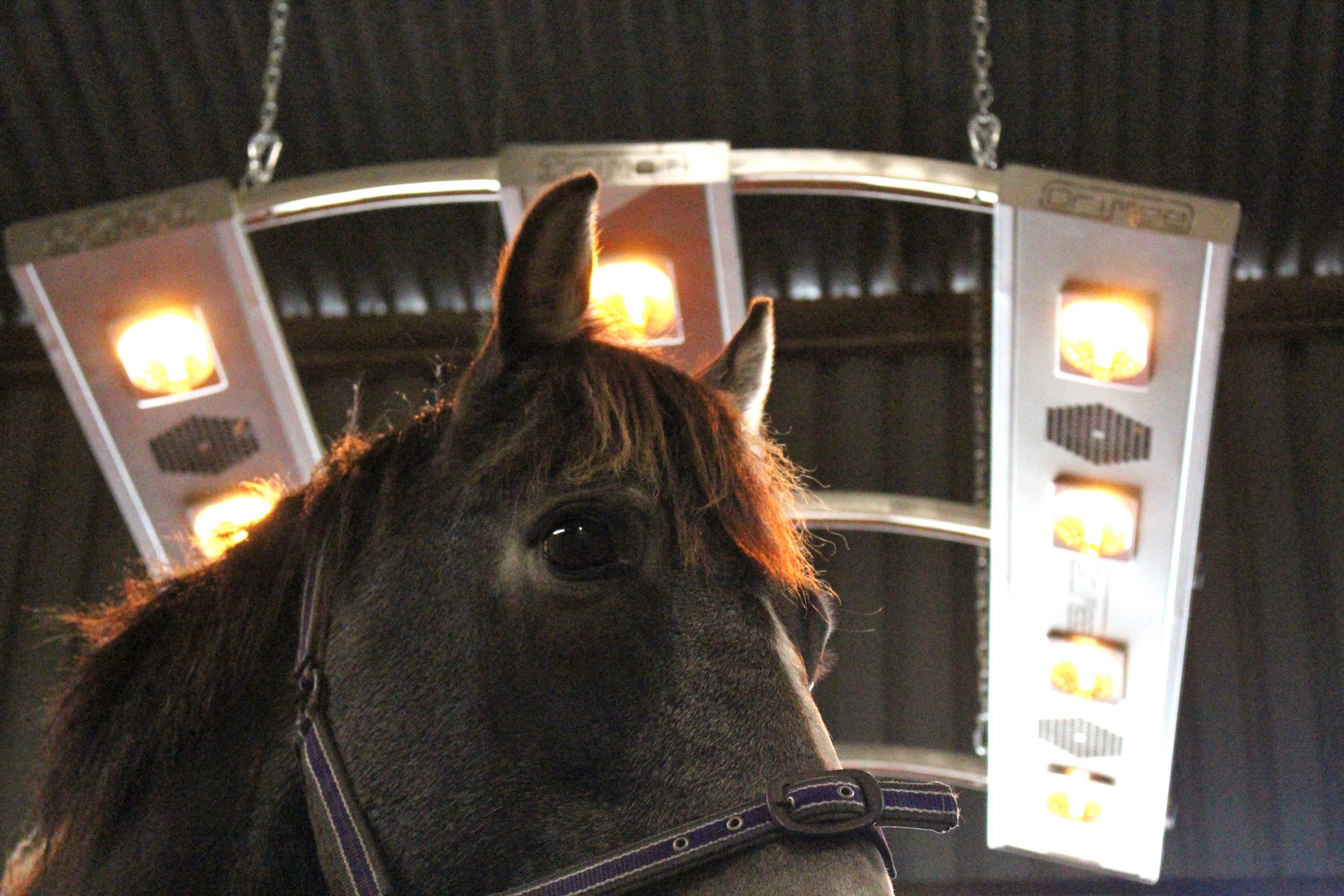 How to use the Drimee Sirocco Solarium