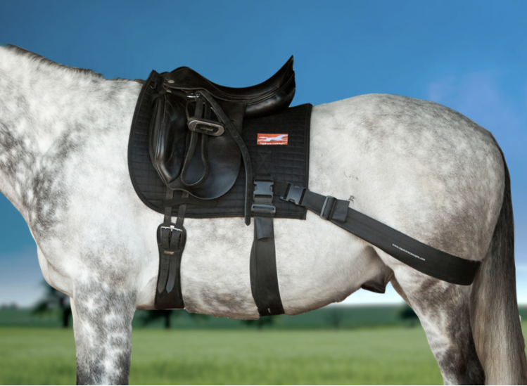 How to fit the Equiband Pro®