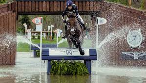 Is There A Common Group Of Injuries For Eventing Horses?