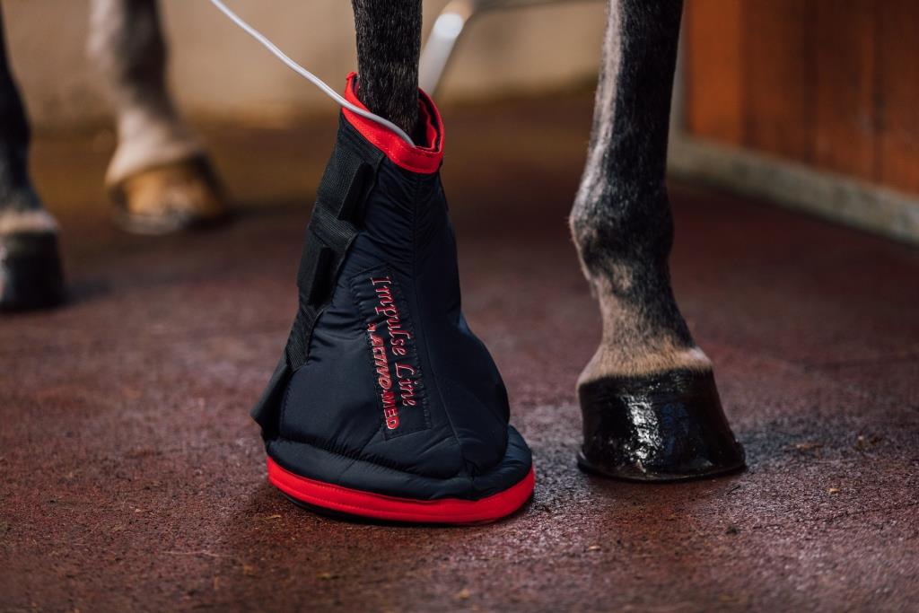 magnetic therapy horse boot